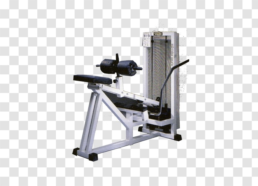 Weightlifting Machine Fitness Centre The Verde Sport Di Guerriero Ornella Technogym - Calf Transparent PNG