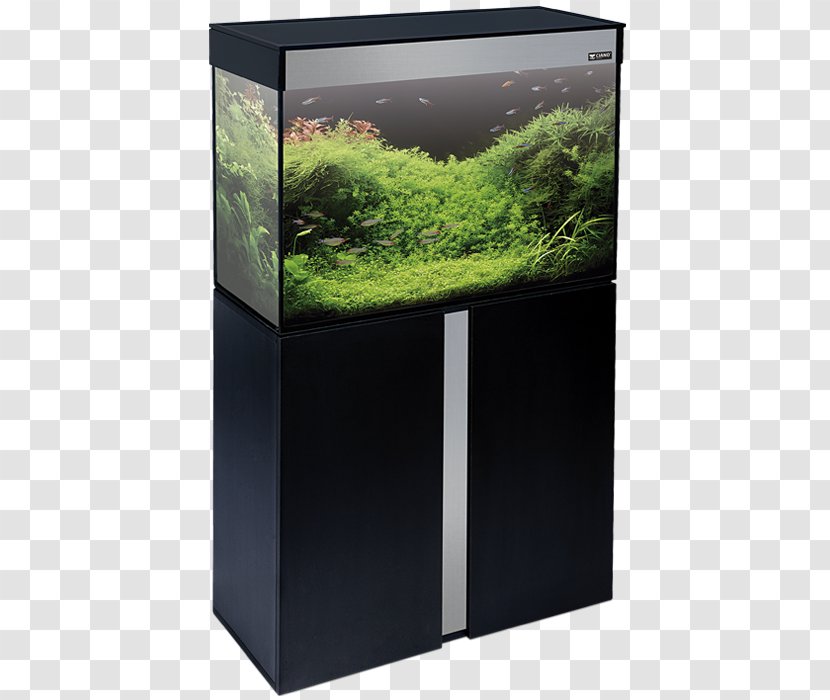 Aquariums Ciano Aqua Aquascaping Fishkeeping - Eheim Transparent PNG