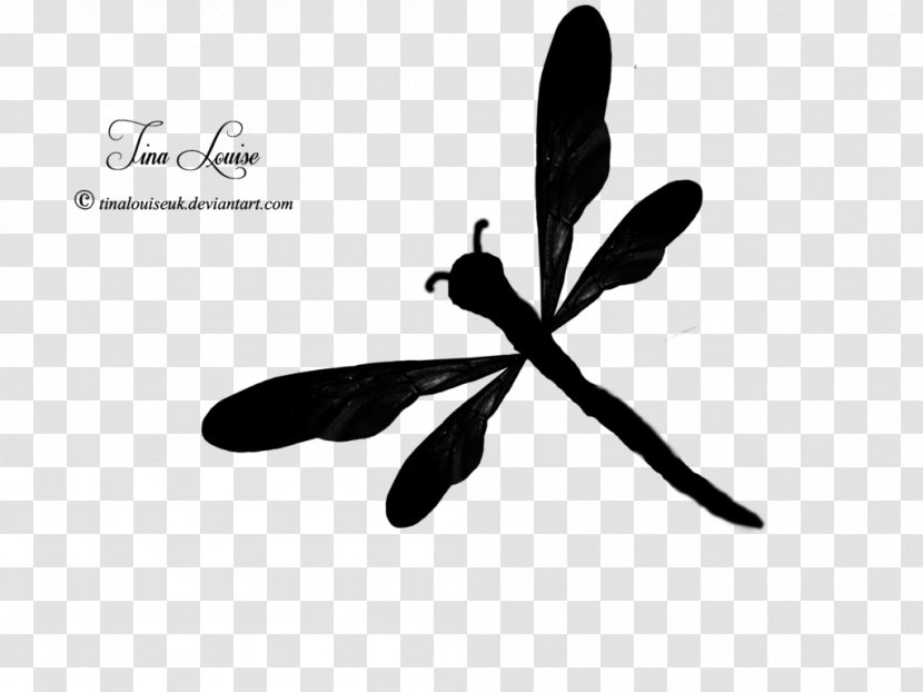 Silhouette Dragonfly Clip Art - Moths And Butterflies Transparent PNG