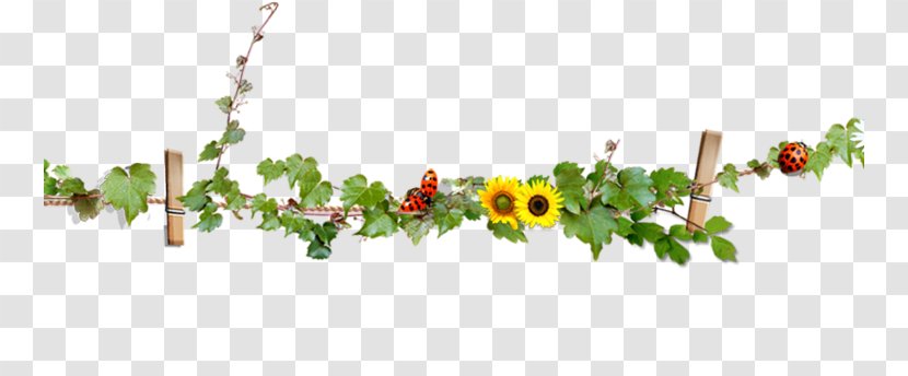 Floral Design Leaf Font - Flowerpot - Flowers And Plants Transparent PNG