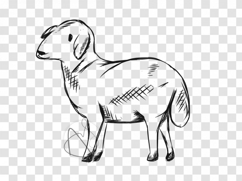 Sheep Goat Cattle Drawing Line Art Transparent PNG