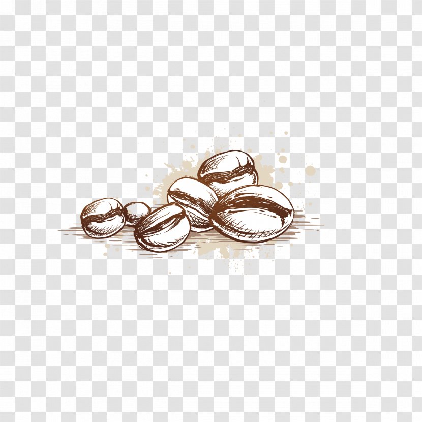 Coffee Cup Cafe Bean - Body Jewelry - Vector Beans Transparent PNG