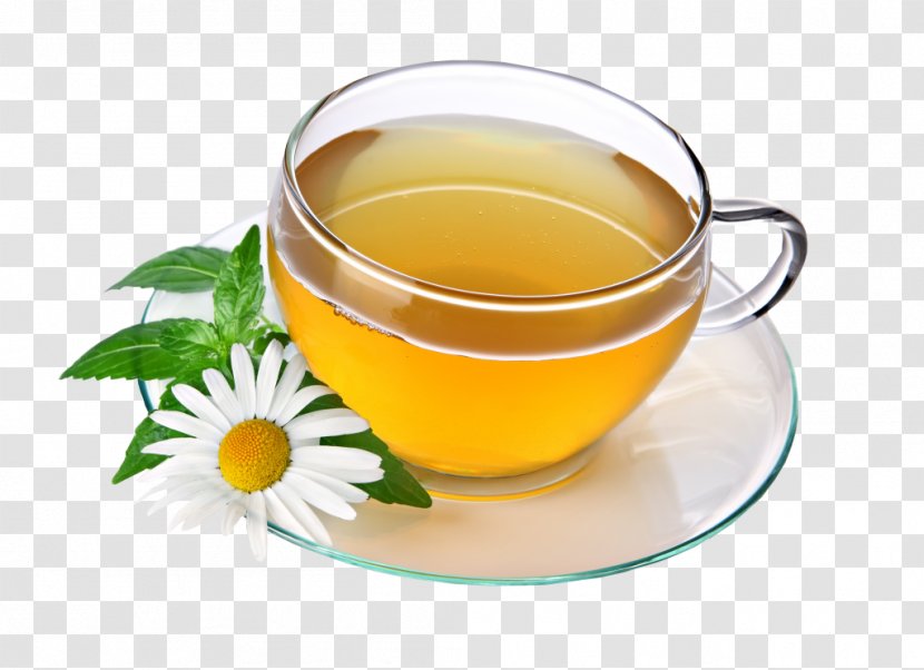 Green Tea Chrysanthemum Flowering Herbal - Chamomile Transparent PNG