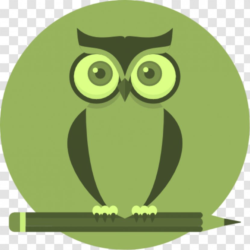 Owl Clip Art Vector Graphics Transparent PNG