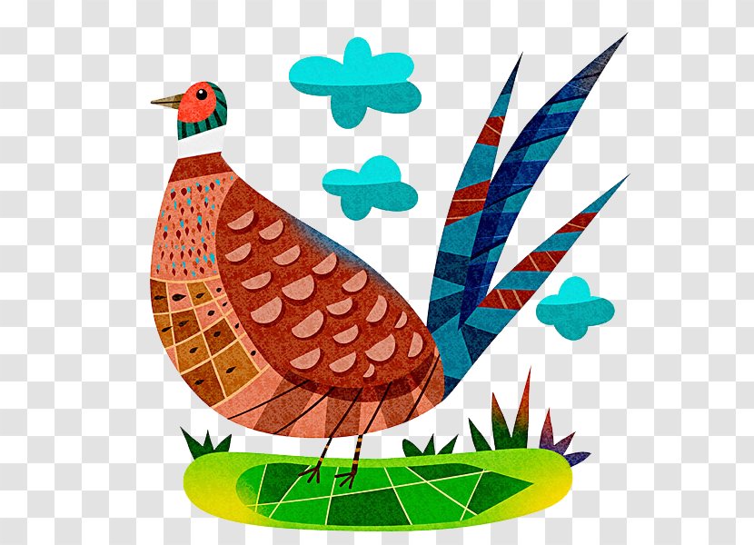Peafowl Cartoon Illustration - Image Resolution - Peacock Transparent PNG