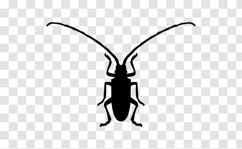 Longhorn Beetle Symbol Asian Lady - Animal Transparent PNG