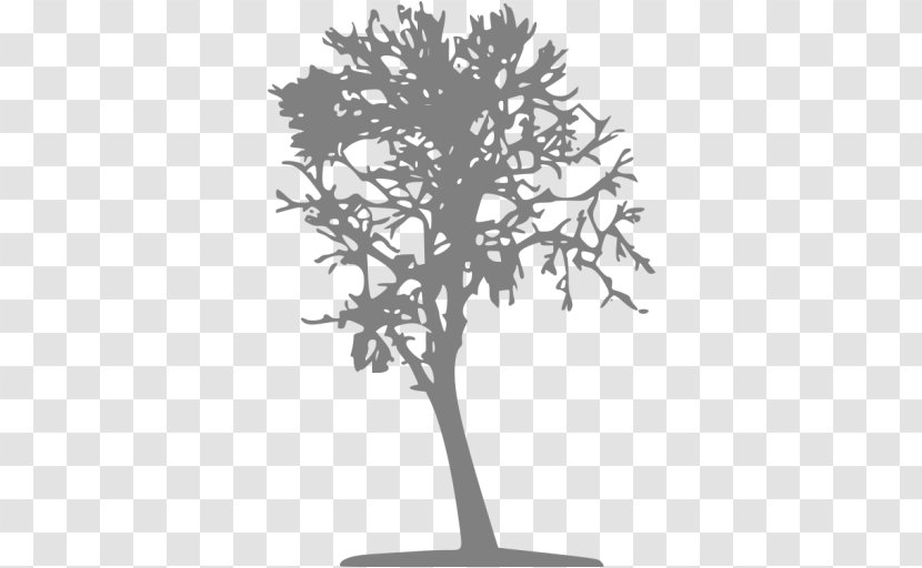 Oak Tree Silhouette - Blue - Plane Transparent PNG