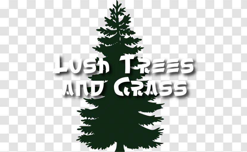 Eastern White Pine Tree Fir Clip Art - Lush Trees Transparent PNG