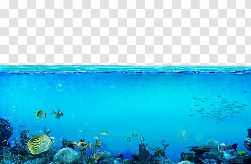 Underwater Sea Wallpaper - Azure - The World Transparent PNG