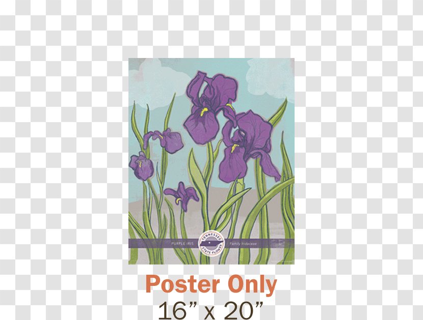 Tennessee Tulip Irises Poster - Text - Juice Posters Transparent PNG