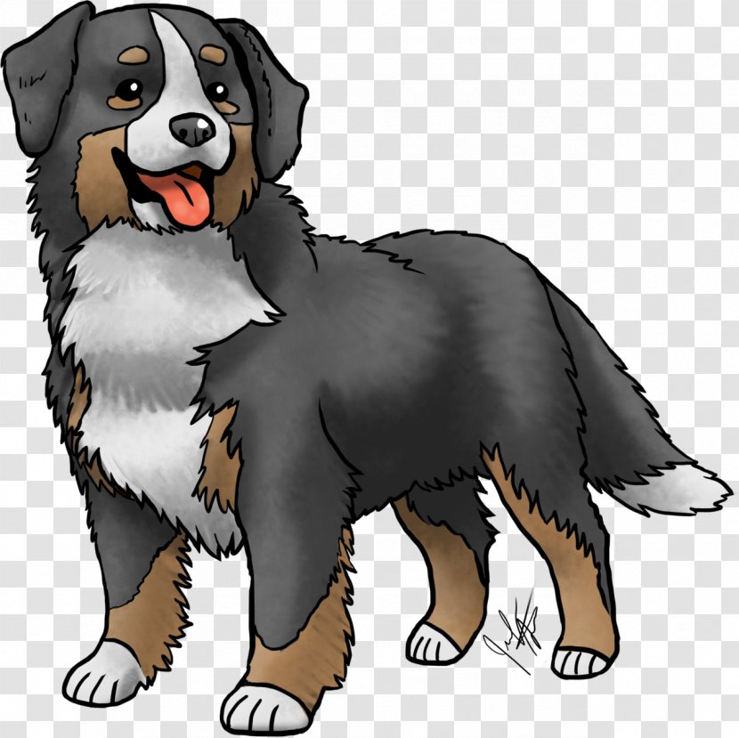 Bernese Mountain Dog Breed Entlebucher Greater Swiss Companion Transparent PNG