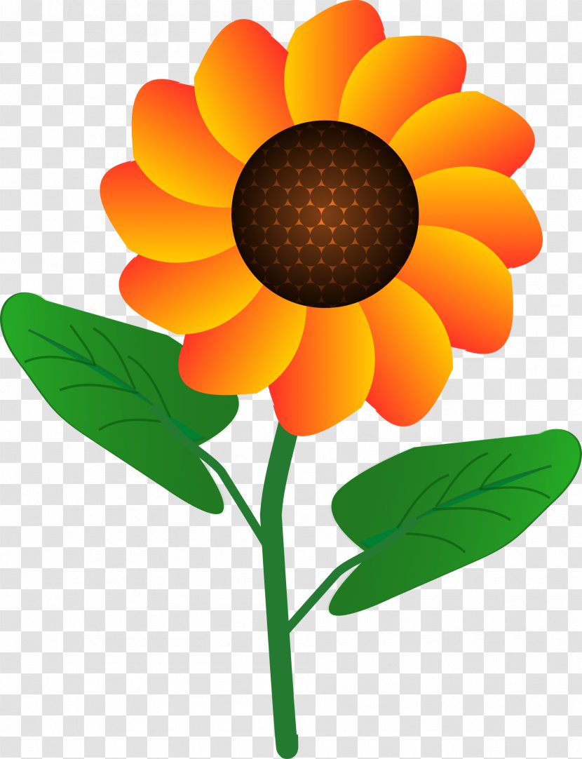 Common Sunflower Clip Art - Flower Transparent PNG