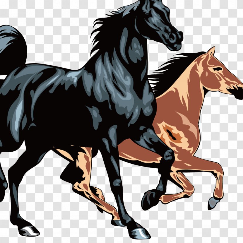Horse Equestrianism Clip Art - Supplies - Creative Dark Transparent PNG