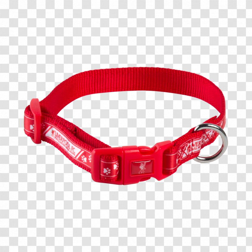 Dog Collar Liverpool F.C. Leash - Fc - Front Roll Transparent PNG