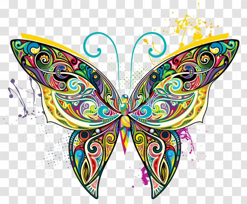 Butterfly Art Illustration - Insect - Colorful Transparent PNG