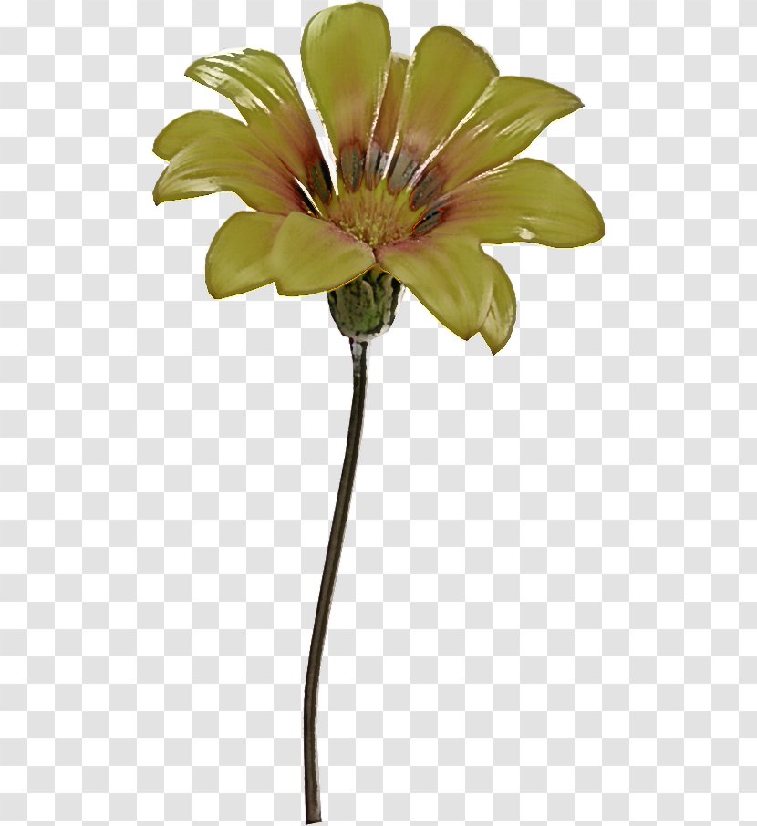 Artificial Flower - Plant Stem Transparent PNG