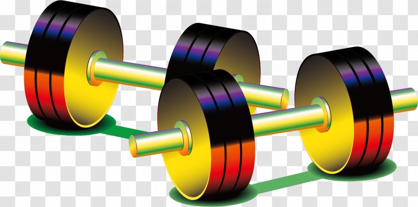 Barbell Weight Training Physical Exercise - Designer - Vector Material Transparent PNG