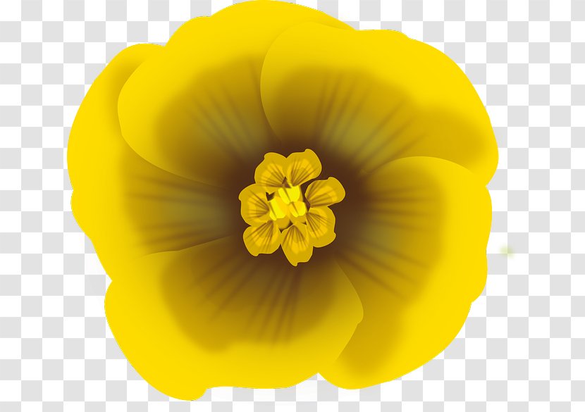Yellow Flower Petal Clip Art - Drawing Transparent PNG