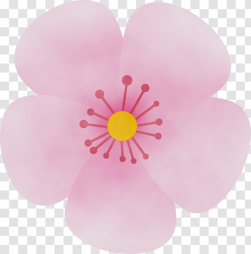 Petal Pink Flower Plant Wildflower Transparent PNG