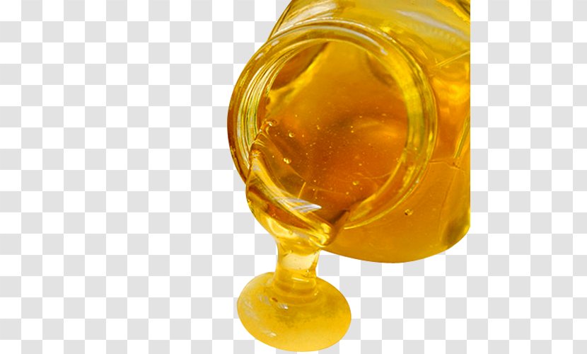 Pokxe9mon GO Honey Food Grits - Go - Jar Transparent PNG