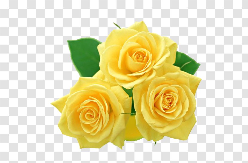 Rose Yellow Clip Art - Floristry Transparent PNG