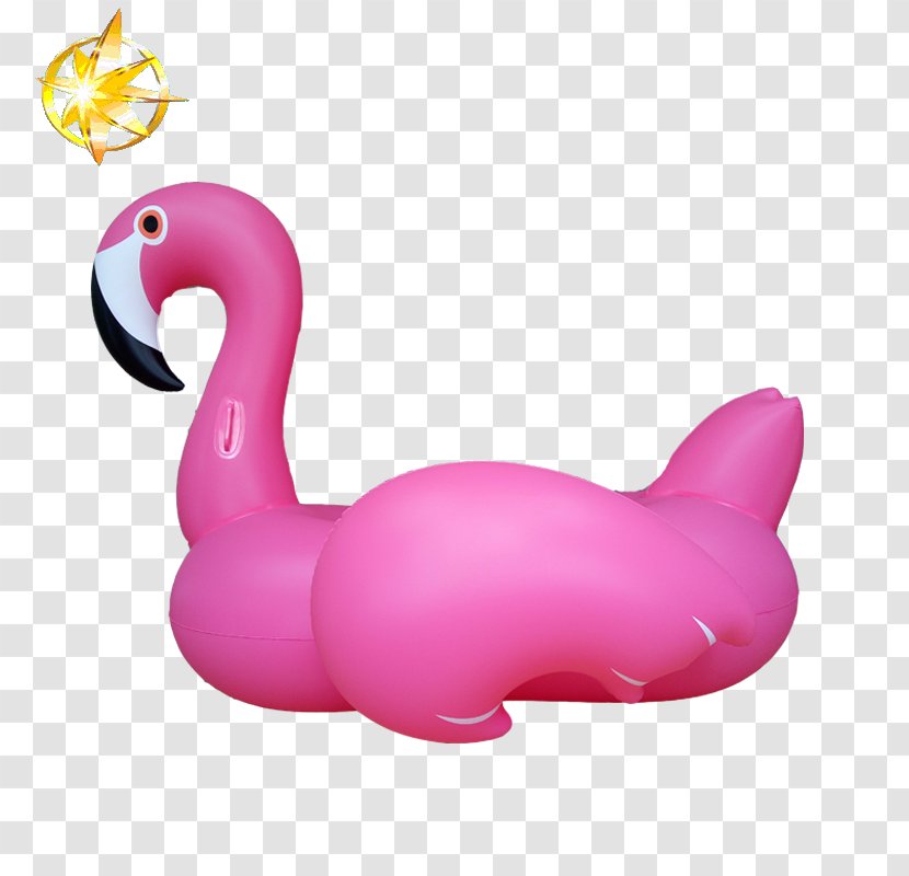 Flamingos Inflatable Price Toy - Swimming Pool - Double Ninth Festival Advertisement Transparent PNG