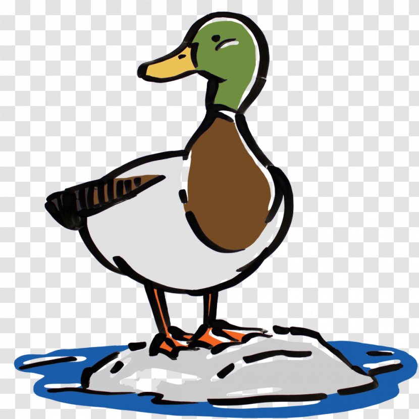 Mallard Duck Beak Clip Art - Artwork Transparent PNG