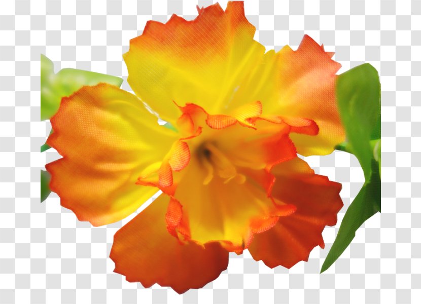 Flowering Plant Petal Daylily - Flower Garland Transparent PNG