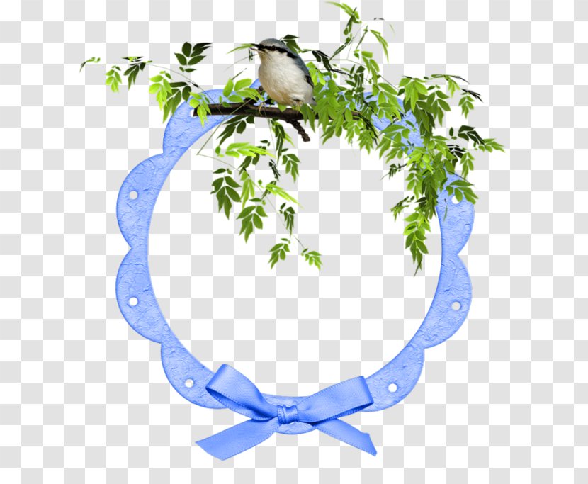 Twig Branch Tree - Plant Transparent PNG