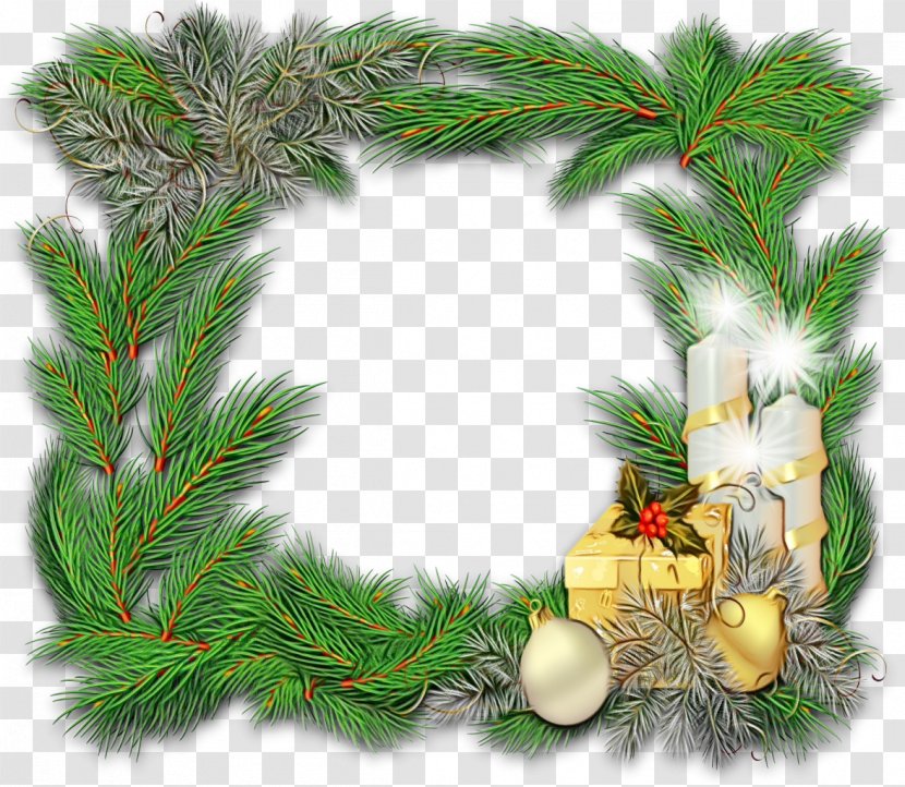 Christmas Decoration - Conifer - Pine Family Fir Transparent PNG