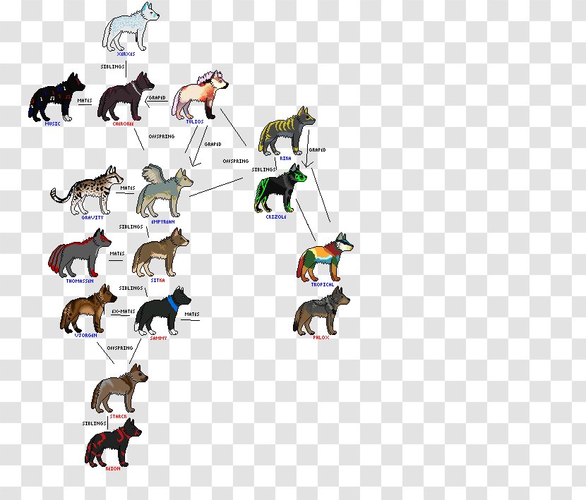 Canidae Gray Wolf Family Tree Coyote Pack - Wolfdog Transparent PNG