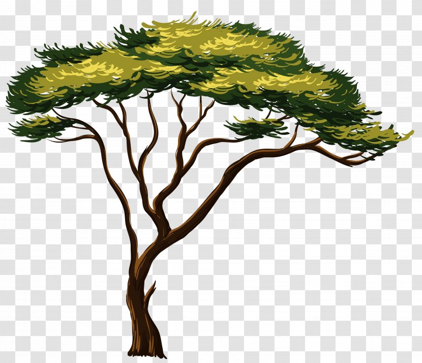 Africa Tree Clip Art - Houseplant - Painted African Clipart Picture Transparent PNG