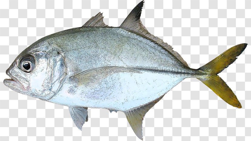 Thunnus Milkfish Fish Products Blue Runner Sardine - Giant Trevally Transparent PNG