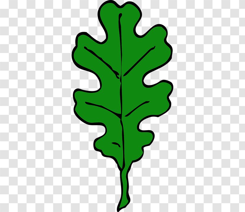 White Oak Leaf Quercus Suber Clip Art - Woody Plant - Robur Transparent PNG