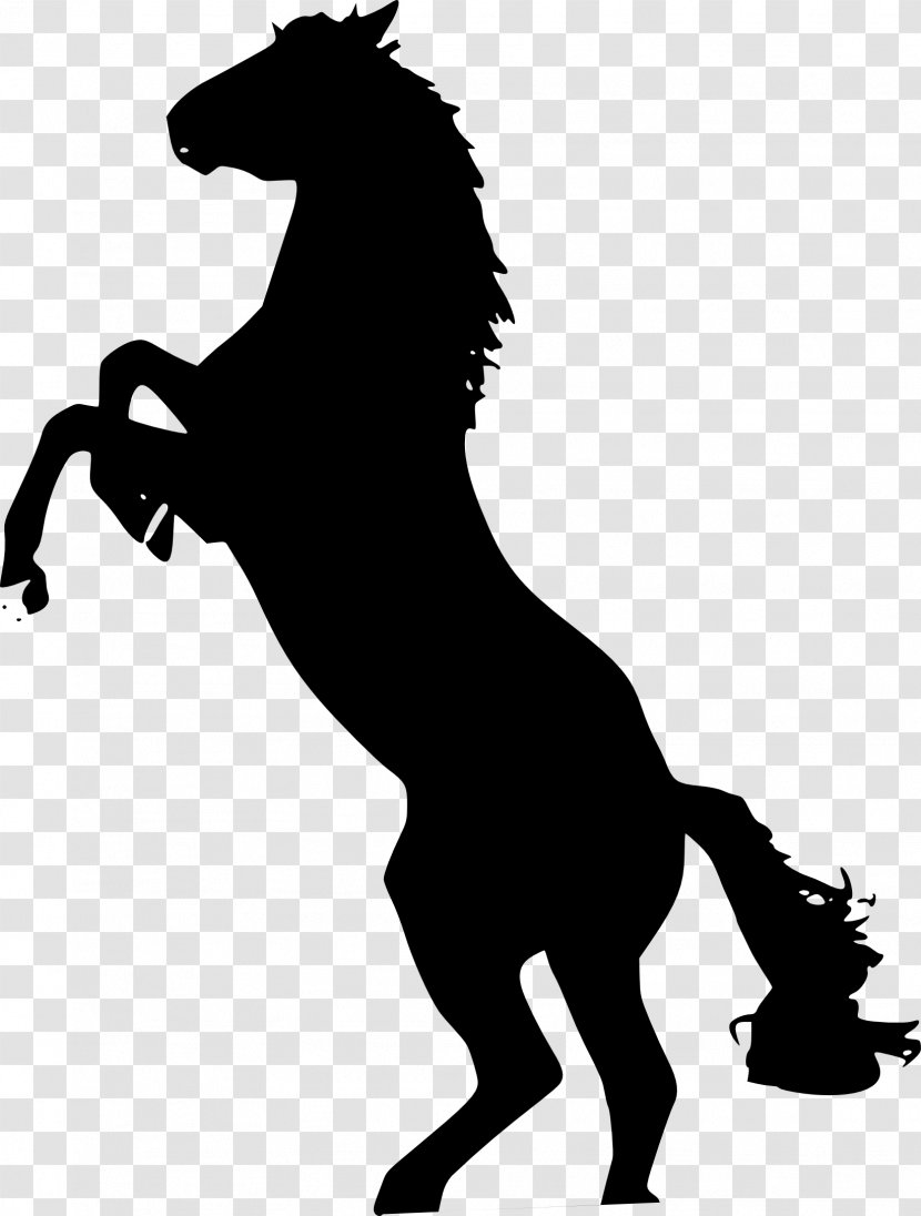 Mustang Stallion The Behaviour Of Horse Clip Art - Image File Formats - Silhouettes Transparent PNG