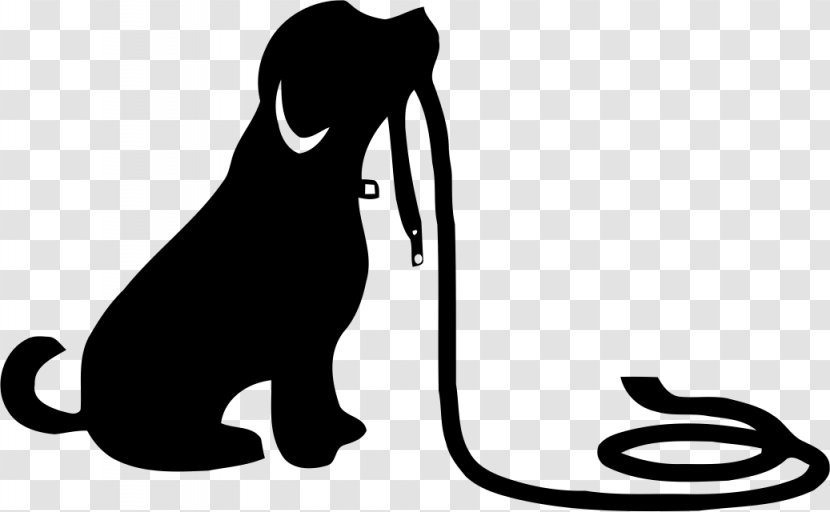 Cat Dog Leash Puppy Obedience School - Like Mammal - Hund Transparent PNG