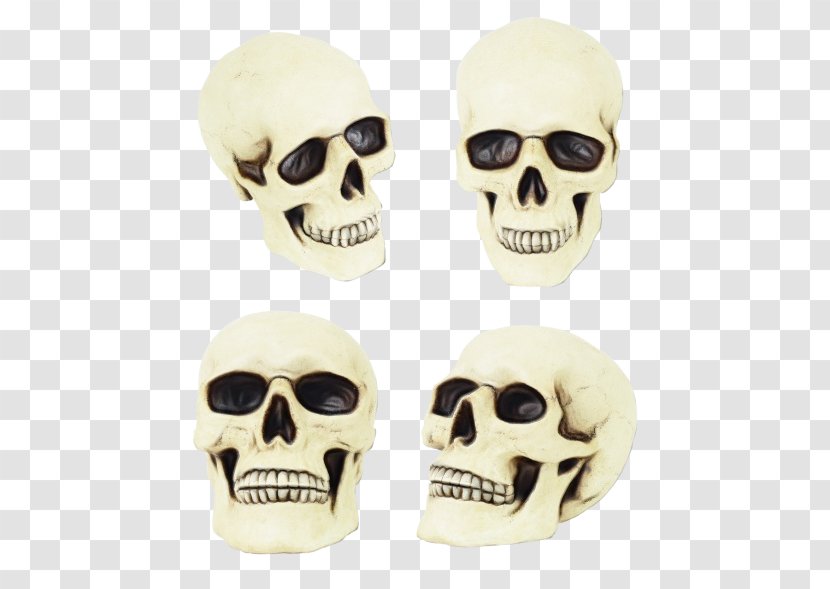 Skull Bone Face Head Skeleton - Costume Accessory Fashion Transparent PNG