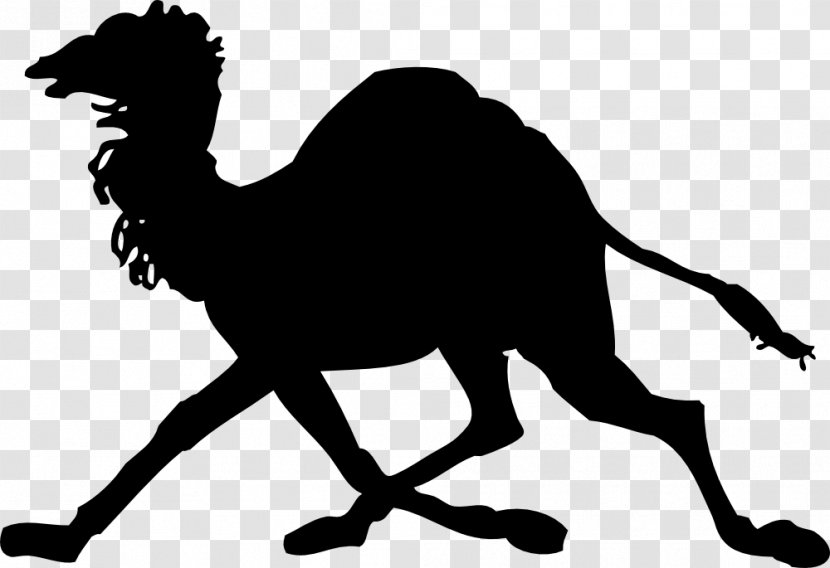 Camel Clip Art - Livestock Transparent PNG