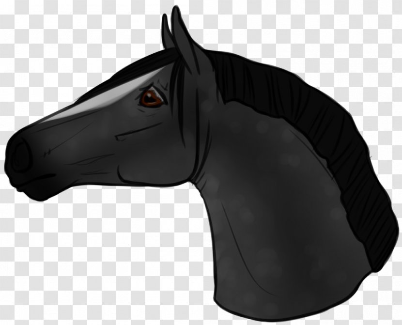 Mane Rein Mustang Halter Bridle - Horse Like Mammal Transparent PNG