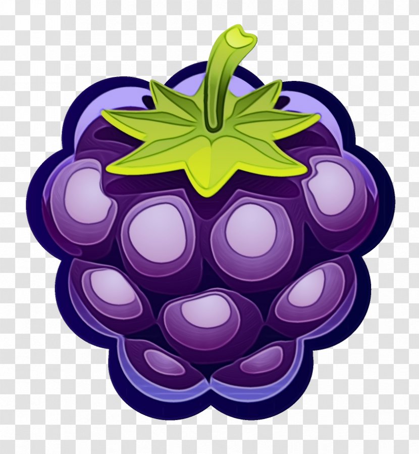 Pie Cartoon - Berries - Vitis Plant Transparent PNG