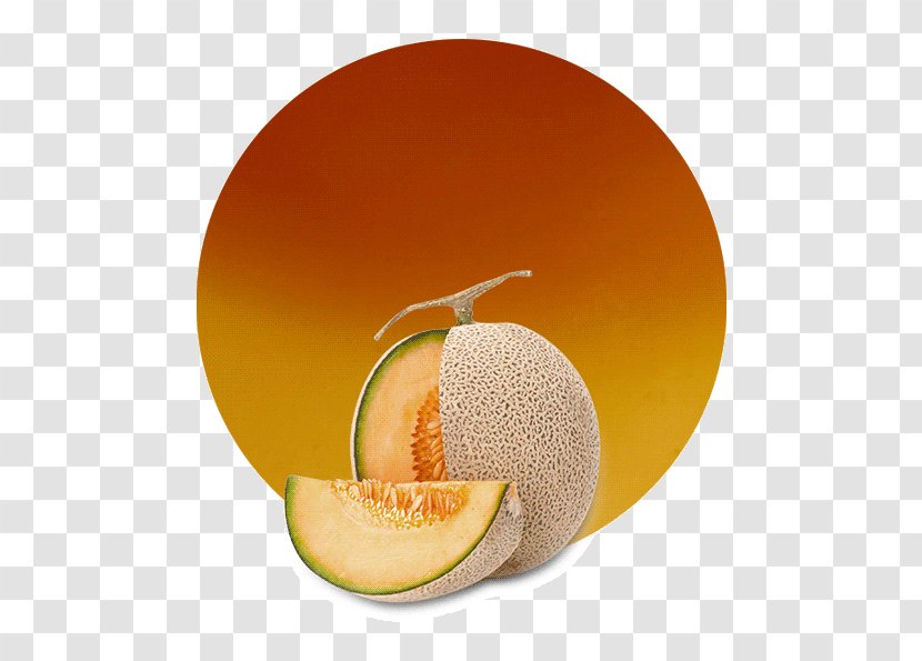 Cantaloupe Juice Grapefruit Orange Vegetarian Cuisine - Gourd Order Transparent PNG