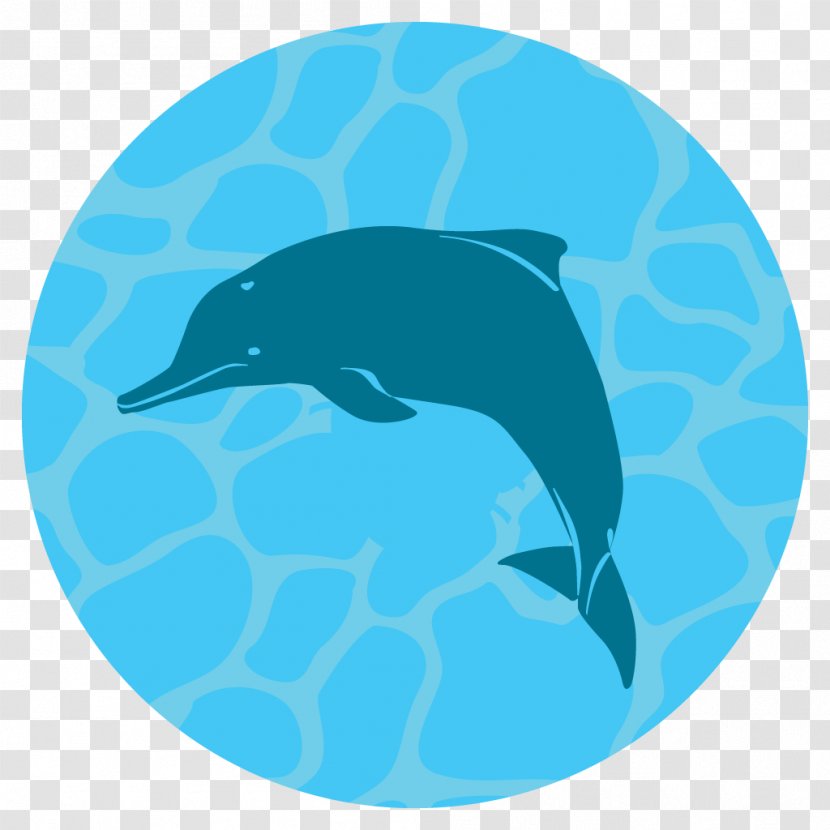 Common Bottlenose Dolphin Tucuxi Earth Hour 2018 Green Sea Turtle - Marine Biology - Mammal Transparent PNG