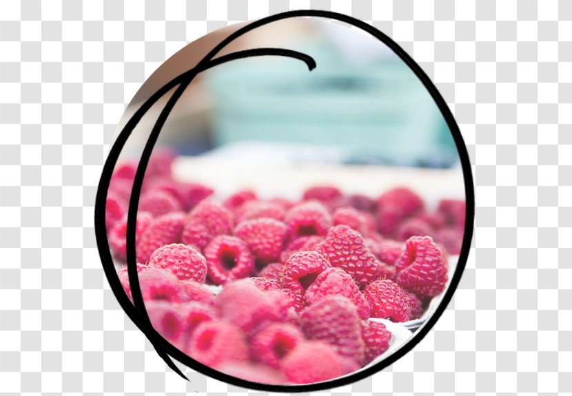 Sorbet Raspberry Food Fruit - Red - Styling Transparent PNG