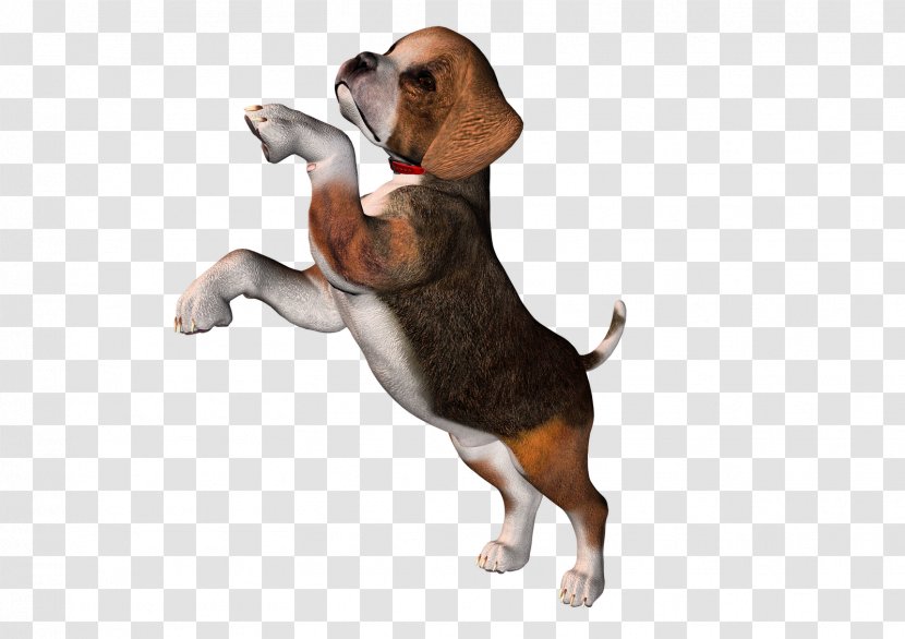 Pocket Beagle Puppy Clip Art Transparent PNG