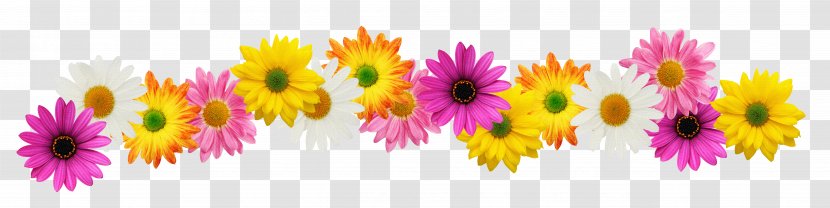 Flower Stock Photography Spring Clip Art - Marigold Transparent PNG