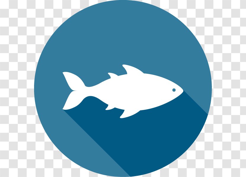 Virginia Department Of Motor Vehicles Fish Seafood Knowledge Test - Whales Dolphins And Porpoises Transparent PNG