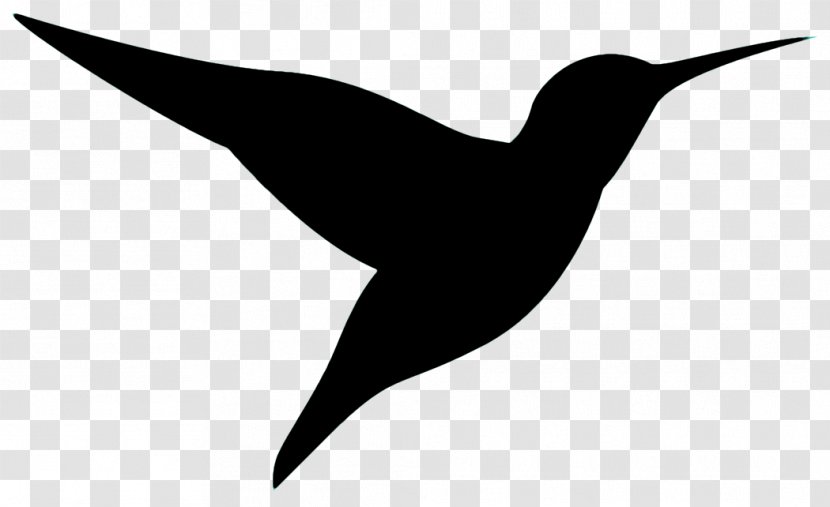 Hummingbird - Logo Wing Transparent PNG