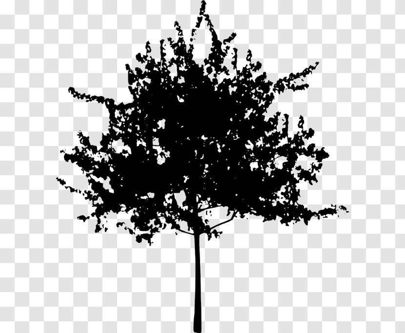 Tree Silhouette Clip Art - Plant Transparent PNG