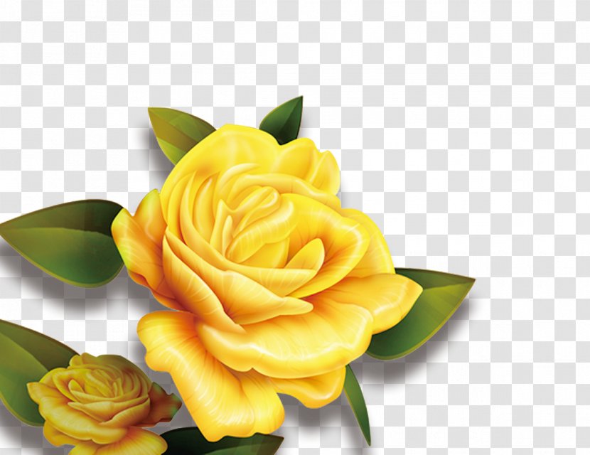 Rose Yellow Flower High-definition Television Wallpaper - Blue Transparent PNG