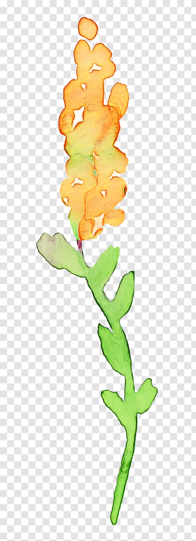 Watercolor Flower Background - Paint - Plant Transparent PNG